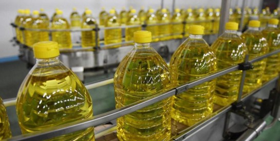 Pénurie d'huile de tournesol : la crise alimentaire se profile