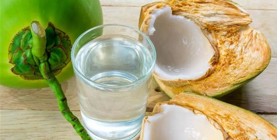 L’eau de coco bénéfique pour l’organisme