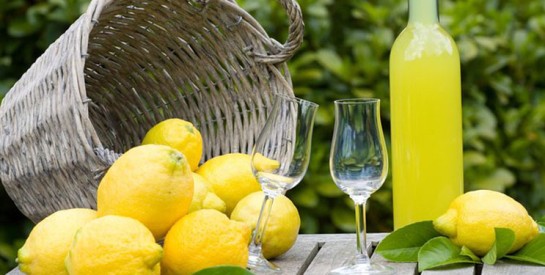 Le citron de Nice : voici ses bienfaits