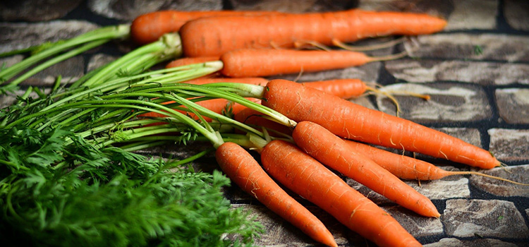 Les bienfaits de la carotte dans le transit intestinal