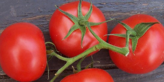L'effet de la tomate sur le cholestérol