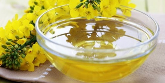 L’huile de colza : une huile recommandée pour perdre de la graisse