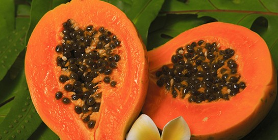 Recette de crème de massage à la papaye pour soulager les zones douloureuses de votre corps