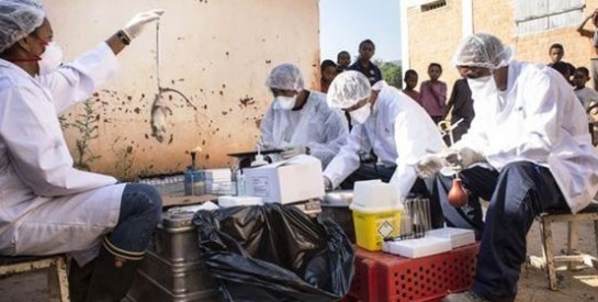 L`épidémie de peste fait des ravages à Madagascar