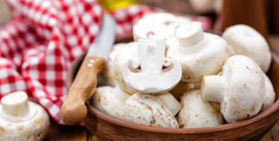 La consommation des champignons peut soulager la constipation chronique