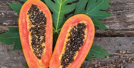 Infusion de feuilles de papaye pour maigrir