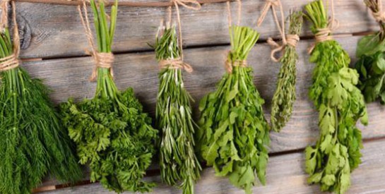 Persil, basilic, menthe,... comment bien conserver les herbes aromatiques?