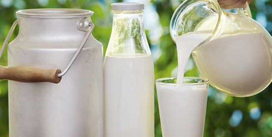 Le lait : régénératrice et hydratante pour la peau