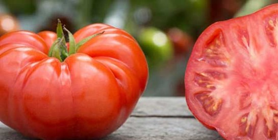 Gommage à la tomate pour unifier le visage