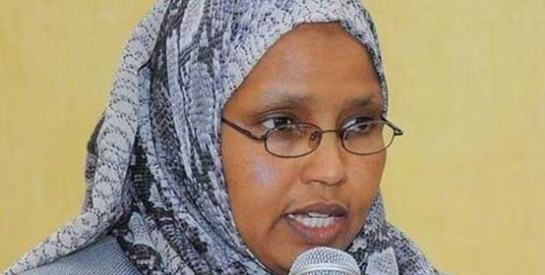 Une femme nommée ministre de la Défense en Ethiopie