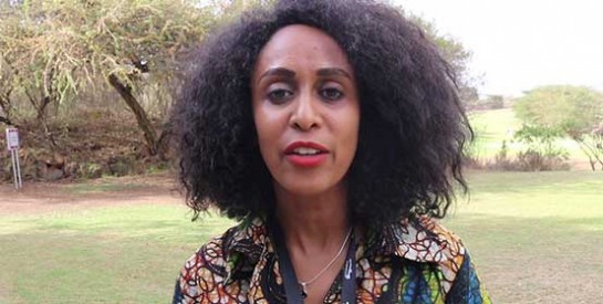 Ethiopie : Billene Seyoum, spécialiste du Genre, nommée Porte-parole du Premier ministre