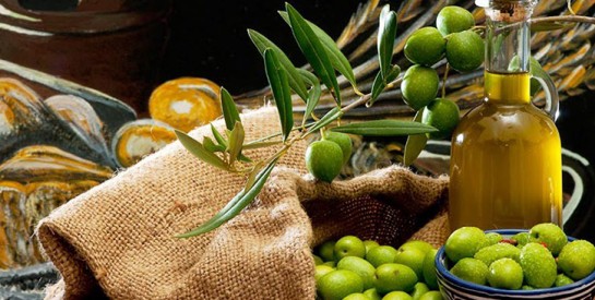 Remède naturel : la tisane des feuilles d’olivier pour soigner l’hypertension