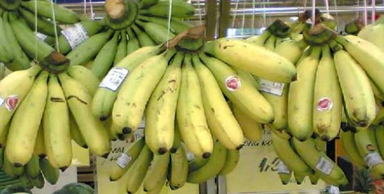 Les utilisations alternatives de la banane