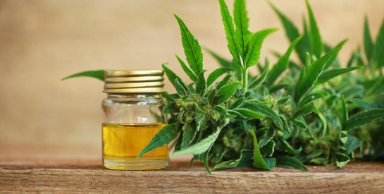 Cosmétiques au cannabis : succombez aux bienfaits de cette ``pépite verte`` !