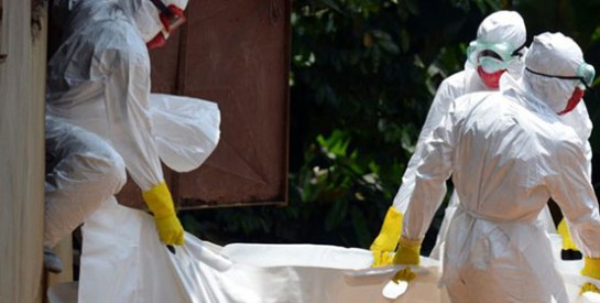 En Ouganda, un mort de Marburg, virus «cousin» d'Ebola