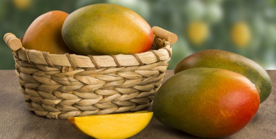 La mangue africaine : un fruit aux propriétés brûle-graisses