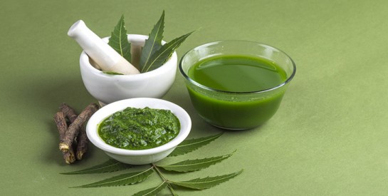 Tout est bon dans le neem pour traiter différents problèmes de santé