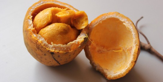 Le zaban, un fruit riche en vitamine C et en vitamine B6