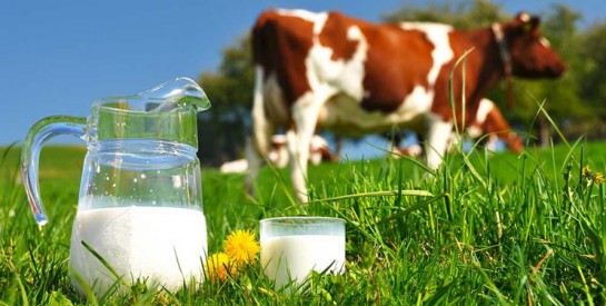 Le lait est-il bon ou mauvais pour la santé?