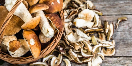 3 bonnes raisons de manger des champignons