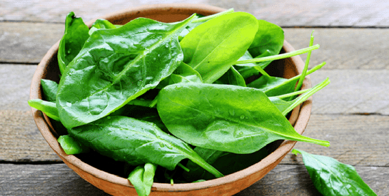 Les épinards : ces petites feuilles vertes riches en vitamines