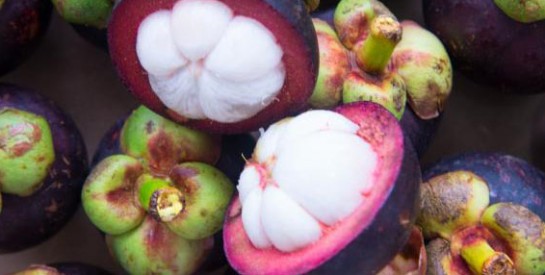 Mangoustan : le fruit idéal pour plus de tonus dans l'organisme