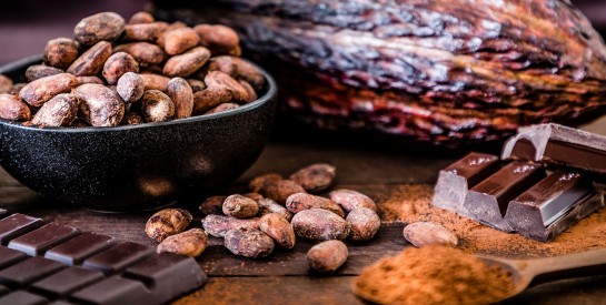 La fève de cacao : un ingrédient sain et puissant