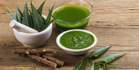 Les feuilles de neem : les vertus cosmétiques pour le soin du corps et le visage