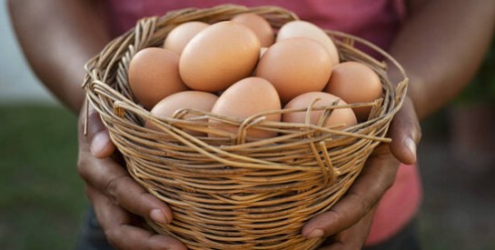 Quels sont les bienfaits des œufs pour la santé ?
