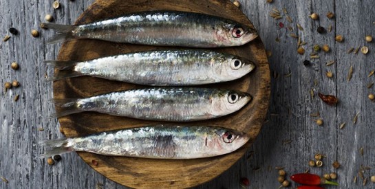 Ces bienfaits épatants de la sardine
