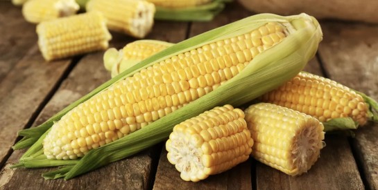 Voici les 6 atouts santé du maïs