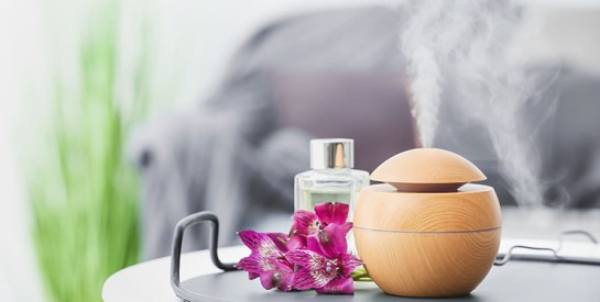 Comment se débarrasser des mauvaises odeurs de la maison?