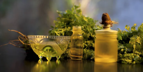 L'huile de coriandre : le secret bien-être pour une peau éclatante