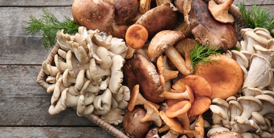 Pourquoi les champignons sont-ils bons pour la santé ?
