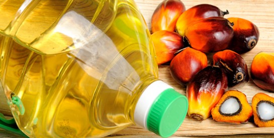 L'huile de palme est un danger pour la santé