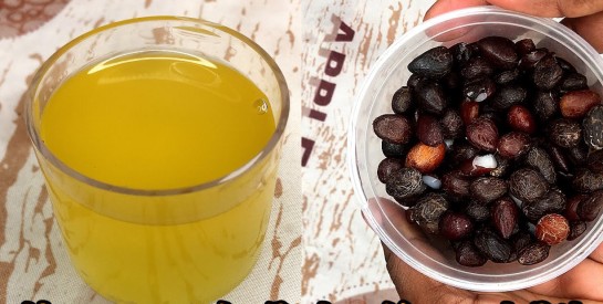 L'huile de Palmiste : riche en vitamine E, elle préserve la souplesse et l’élasticité de la peau