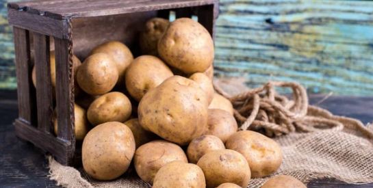 Les pommes de terre : un incontournable pour une bonne alimentation
