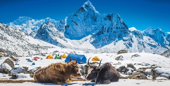 Au cœur de l’Himalaya, que découvrir ?