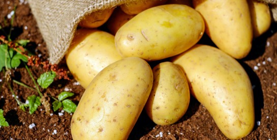 Le Jus de Pomme de Terre : Une Boisson Naturelle pour Favoriser la Perte de Poids