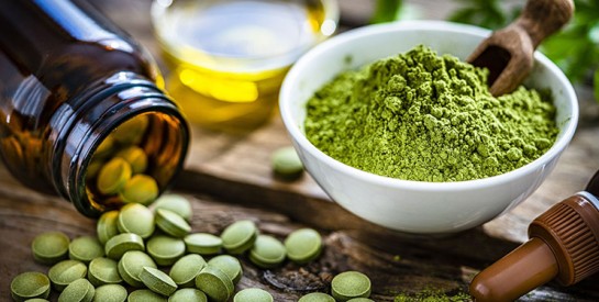 Le moringa contiendrait plus de protéines que le yaourt