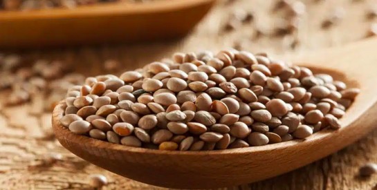 Comment profiter des avantages nutritionnels des lentilles