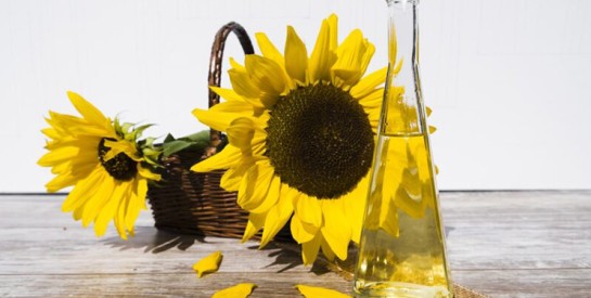 Comment utiliser l’huile de tournesol dans la cosmétique