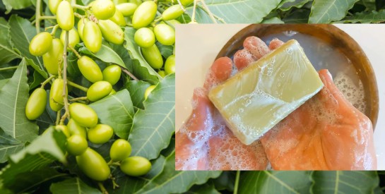 Le savon aux feuilles de neem : un allié naturel contre les odeurs corporelles