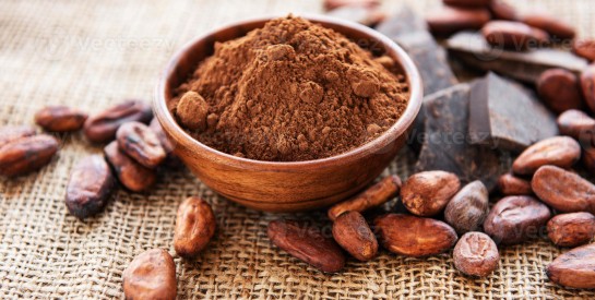 Le cacao en poudre : un superaliment contre l’anémie