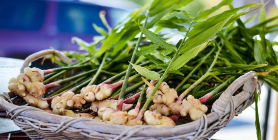 Les racines de gingembre : Un secret naturel pour des cheveux plus longs et plus forts