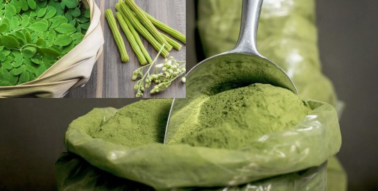 Le Moringa : Plus qu’une plante tendance, un concentré de bienfaits à découvrir