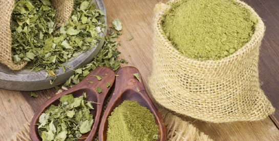 Le djabi ou henné, un soin traditionnel pour une peau douce et éclatante