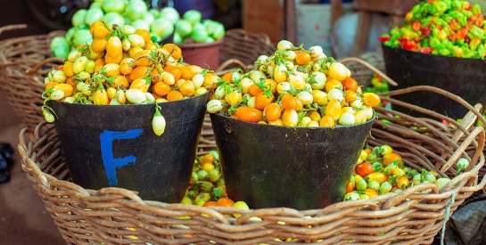 L’aubergine, un légume qui aide à stabiliser la glycémie