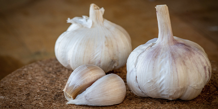 Vertus et usages de l’ail, de la cuisine à la santé