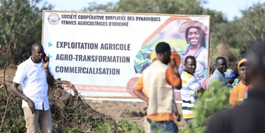 Autonomisation des femmes à Odienné : les agricultrices prennent le pouvoir
